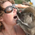 A monkey playfully examining a woman's teeth while she smiles, showcasing an amusing interaction between human and animal