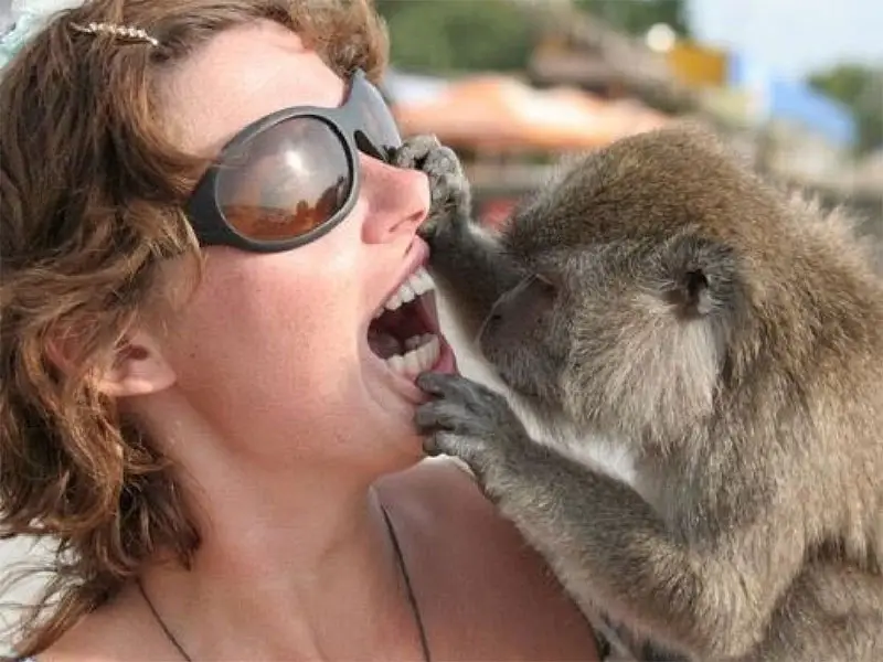 A monkey playfully examining a woman's teeth while she smiles, showcasing an amusing interaction between human and animal